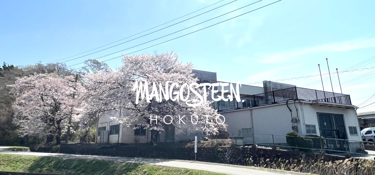 MANGOSTEEN HOKUTO